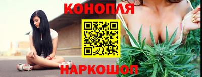 стаф Бугуруслан