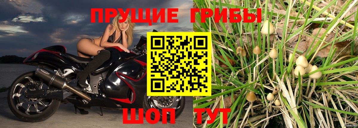 Озёры  Галлюциногенные грибы Psilocybine cubensis  Псилоцибиновые грибы GOLDEN TEACHER  Вход с VPN 