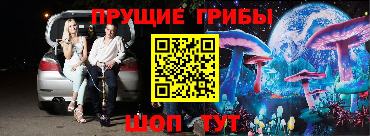 Псилоцибиновые грибы Cubensis Озёры